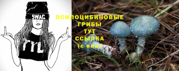 прущие крисы Армянск