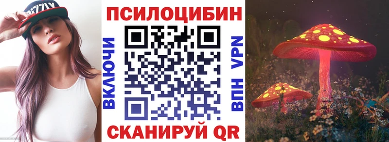 shop как зайти  mega онион  Галич  Галлюциногенные грибы мухоморы 